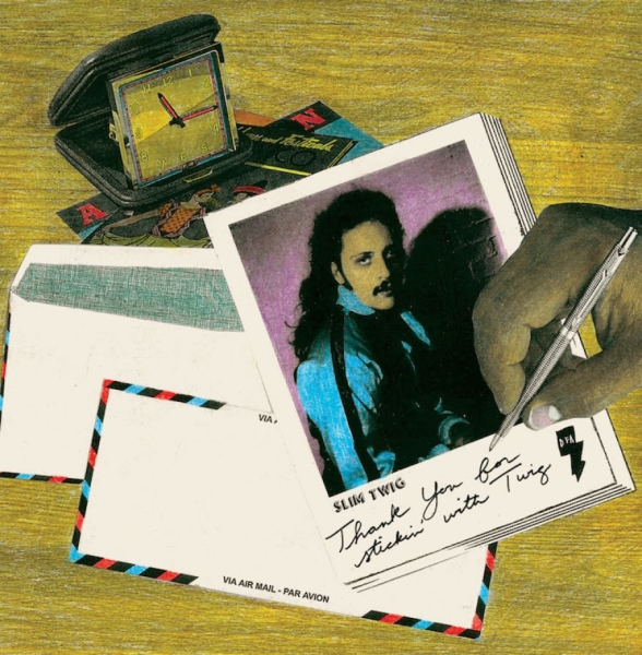 Slim Twig - Thank You For Stickin' With Twig i gruppen CD / Toppselgere hos Bengans Skivbutik AB (1480058)