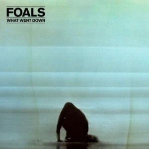 Foals - What Went Down i gruppen VINYL hos Bengans Skivbutik AB (1485885)