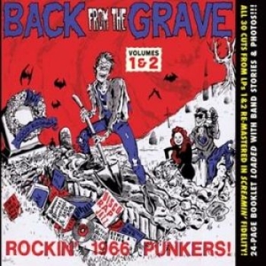 V/A - Back From The Grave Vol 1 & 2 - Vol 1 & 2 - Back From The Grave i gruppen CD hos Bengans Skivbutik AB (1498227)