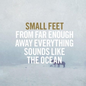 Small Feet - From Far Enough Away Everything Sou i gruppen CD hos Bengans Skivbutik AB (1515047)