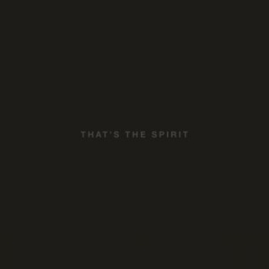 Bring Me The Horizon - That's The Spirit i gruppen VINYL hos Bengans Skivbutik AB (1516634)