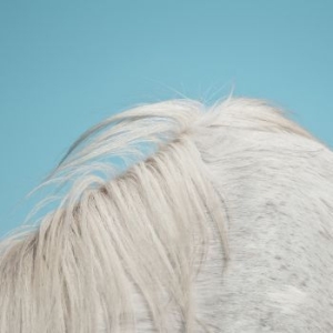 Widowspeak - All Yours i gruppen CD hos Bengans Skivbutik AB (1517243)