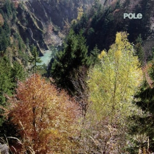 Pole - Wald i gruppen CD hos Bengans Skivbutik AB (1528684)