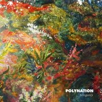 Polynation - Allogamy i gruppen VINYL hos Bengans Skivbutik AB (1532924)