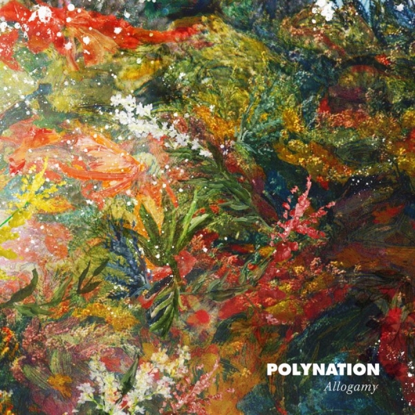 Polynation - Allogamy i gruppen VINYL / Rock hos Bengans Skivbutik AB (1532924)