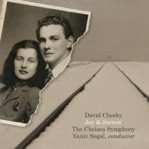 Chesky David - Joy & Sorrow i gruppen CD hos Bengans Skivbutik AB (1532939)