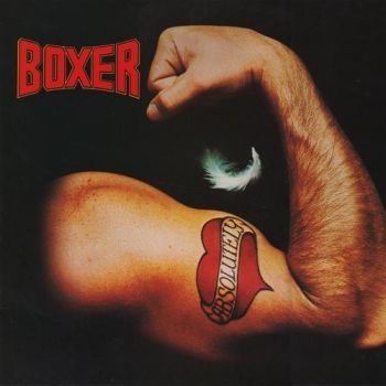 Boxer - Absolutely i gruppen CD / Toppselgere hos Bengans Skivbutik AB (1539797)