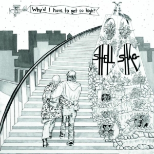Shellshag - Why'd I Have To Get So High? i gruppen VINYL hos Bengans Skivbutik AB (1541534)