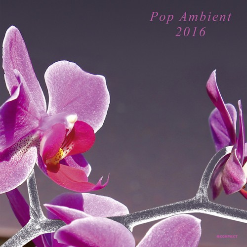 Blandade Artister - Pop Ambient 2016 i gruppen CD / Toppselgere hos Bengans Skivbutik AB (1551738)