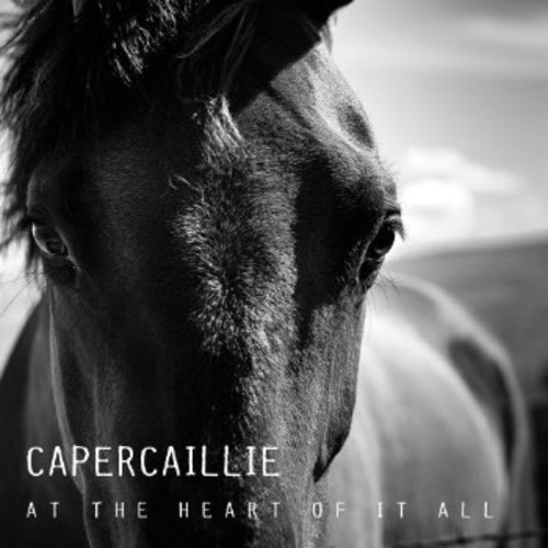Capercaillie - At The Heart Of It All i gruppen CD / Worldmusic/ FolkeMusikkk hos Bengans Skivbutik AB (1554504)