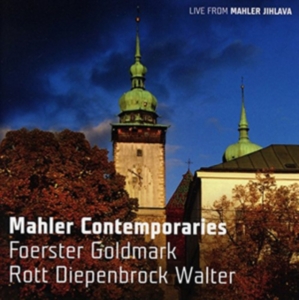Foerster / Goldmark / Rott - Mahler Contemporaries i gruppen CD hos Bengans Skivbutik AB (1555171)
