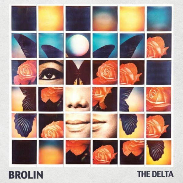 Brolin - Delta i gruppen CD / Toppselgere hos Bengans Skivbutik AB (1703955)