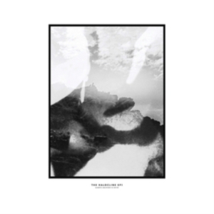 Hippo Campus - Halocline Eps i gruppen CD hos Bengans Skivbutik AB (1713355)