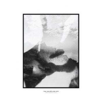 Hippo Campus - Halocline Eps i gruppen CD / Toppselgere hos Bengans Skivbutik AB (1713355)