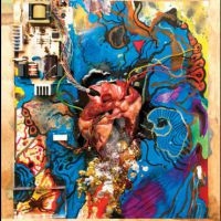 Timmy's Organism - Heartless Heathen i gruppen Rock hos Bengans Skivbutik AB (1718832)