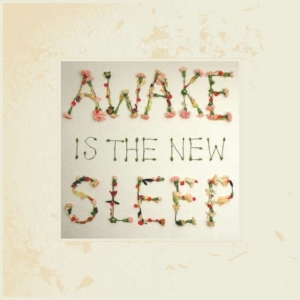 Lee Ben - Awake Is The New Sleep i gruppen VINYL hos Bengans Skivbutik AB (1721211)