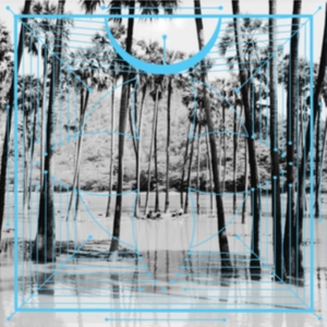 FOUR TET - PINK i gruppen CRM - Experimentell elektronisk musik hos Bengans Skivbutik AB (1735586)