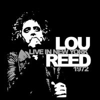Reed  Lou - Live In New York 1972 i gruppen VINYL hos Bengans Skivbutik AB (1793750)