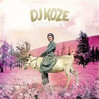 Dj Koze - Amygdala i gruppen Kommande - alla format hos Bengans Skivbutik AB (1794036)