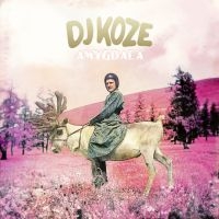 Dj Koze - Amygdala i gruppen VI TIPSER / Way Out West 2026 hos Bengans Skivbutik AB (1796923)