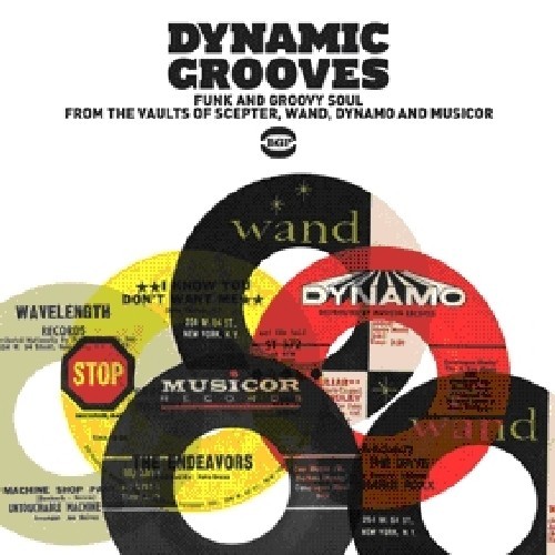 Various Artists - Dynamic Grooves i gruppen CD / RNB, Disco & Soul hos Bengans Skivbutik AB (1810504)