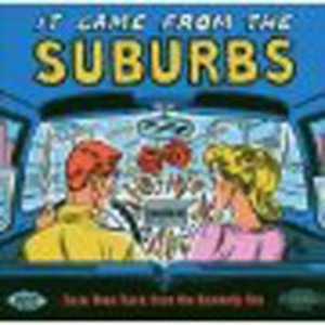 Various Artists - It Came From The Suburbs: Rare Teen i gruppen CD hos Bengans Skivbutik AB (1810642)