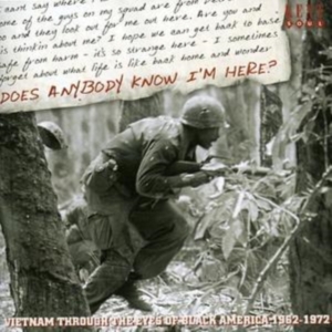 Various Artists - Does Anybody Know I'm Here? Vietnam i gruppen CD hos Bengans Skivbutik AB (1811207)