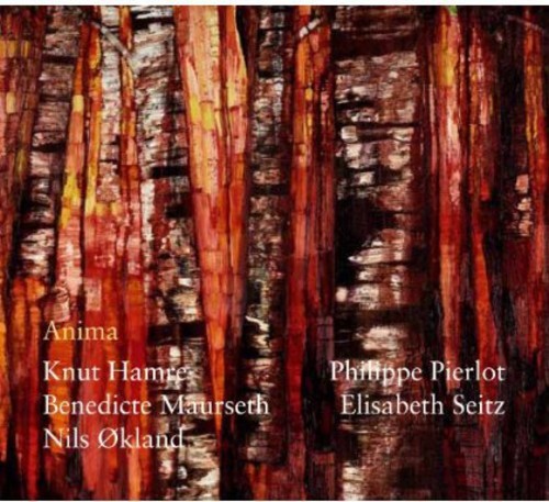 Maurseth Benedicte/Knut Hamre/Nilsö - Anima i gruppen CD / Toppselgere hos Bengans Skivbutik AB (1812395)