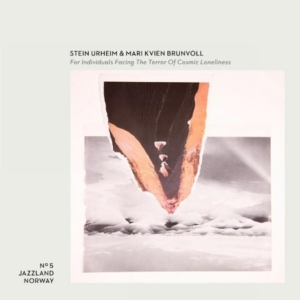 Stein & Mari - For Individuals Facing The Terror O i gruppen VINYL hos Bengans Skivbutik AB (1836754)