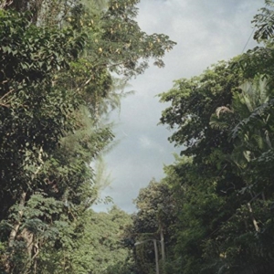 Nelson Zac - New Once i gruppen Annet / hos Bengans Skivbutik AB (1842331)