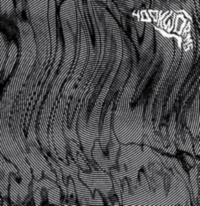 Hookworms - Hookworms i gruppen CD hos Bengans Skivbutik AB (1842439)
