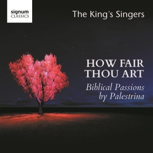 Palestrina Giovanni Pierluigi Da - How Fair Thou Art i gruppen CD hos Bengans Skivbutik AB (1847540)
