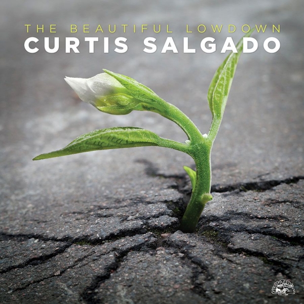 Salgado Curtis - Beautiful Lowdown i gruppen CD / Toppselgere hos Bengans Skivbutik AB (1868256)