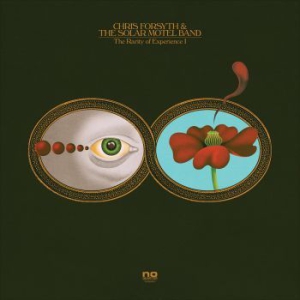 Chris Forsyth & The Solar Motel Ban - The Rarity Of Experience i gruppen VINYL hos Bengans Skivbutik AB (1868273)