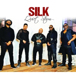 Silk - Quiet Storm i gruppen CD hos Bengans Skivbutik AB (1868494)