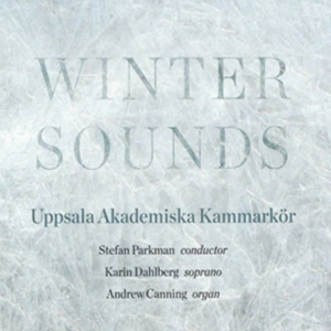 Blandade Artister - Winter Sounds i gruppen CD hos Bengans Skivbutik AB (1871647)