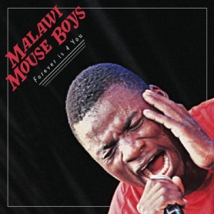 Malawi Mouse Boys - Forever Is 4 U i gruppen CD hos Bengans Skivbutik AB (1871747)