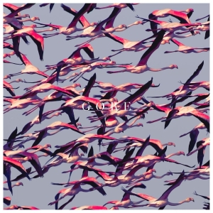 Deftones - Gore (Vinyl Ltd.) i gruppen -Start HK hos Bengans Skivbutik AB (1877202)