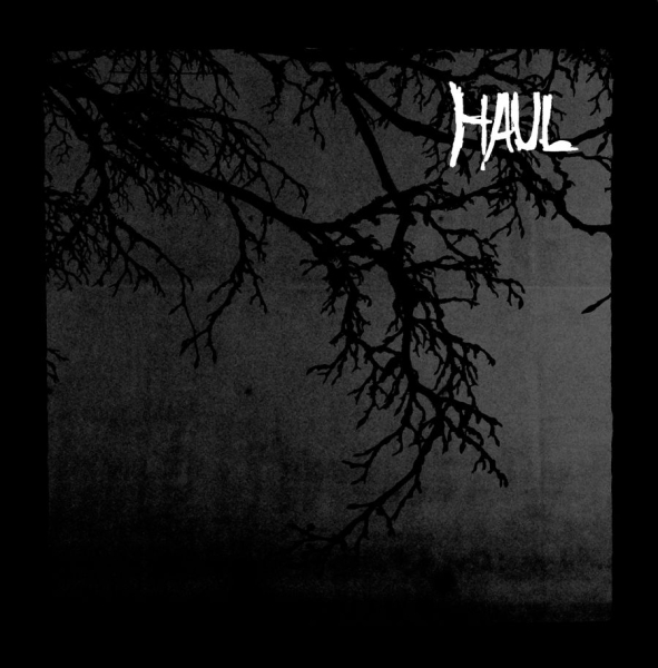 Haul - Seperation i gruppen VINYL / Toppselgere hos Bengans Skivbutik AB (1878761)