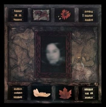 Dazzling Killmen - Face Of Collapse i gruppen CD / Toppselgere hos Bengans Skivbutik AB (1907983)