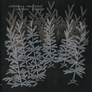 Chrome Jackson - Chrome Forest i gruppen CD hos Bengans Skivbutik AB (1908067)