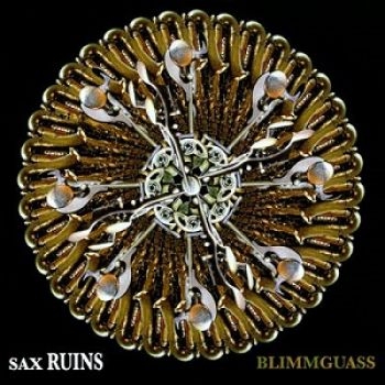 Sax Ruins - Blimmguass i gruppen CD / Rock hos Bengans Skivbutik AB (1908077)