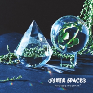 Outer Spaces - A Shedding Snake i gruppen CD hos Bengans Skivbutik AB (1921498)