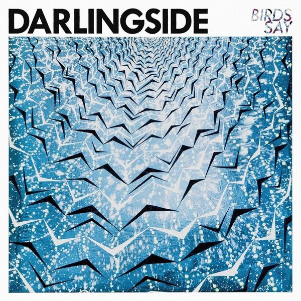 Darlingside - Birds Say i gruppen CD / Pop hos Bengans Skivbutik AB (1951418)