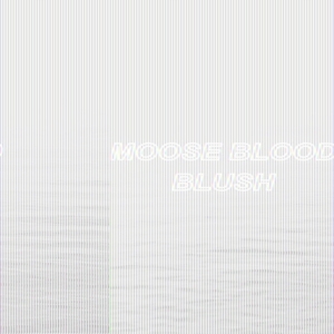 Moose Blood - Blush i gruppen CD hos Bengans Skivbutik AB (1969343)