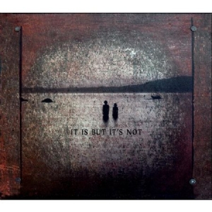 Theodore - It Is But It's Not i gruppen CD hos Bengans Skivbutik AB (1969523)