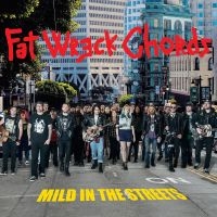 Various Artists - Mild In The Streets-Fat Music Unplu i gruppen CD hos Bengans Skivbutik AB (1969535)