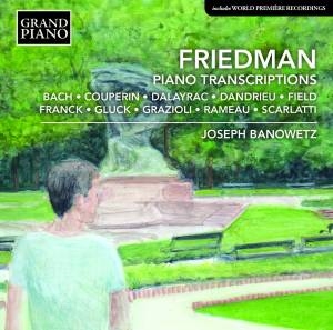 Friedman Ignaz - Piano Transcriptions i gruppen CD hos Bengans Skivbutik AB (2003516)