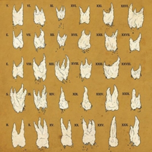 Yeesh - Confirmation Bias i gruppen VINYL hos Bengans Skivbutik AB (2004747)