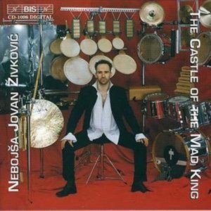 Zivkovic Nebojsa Jovan - Castle Of Mad King i gruppen CD hos Bengans Skivbutik AB (2006681)